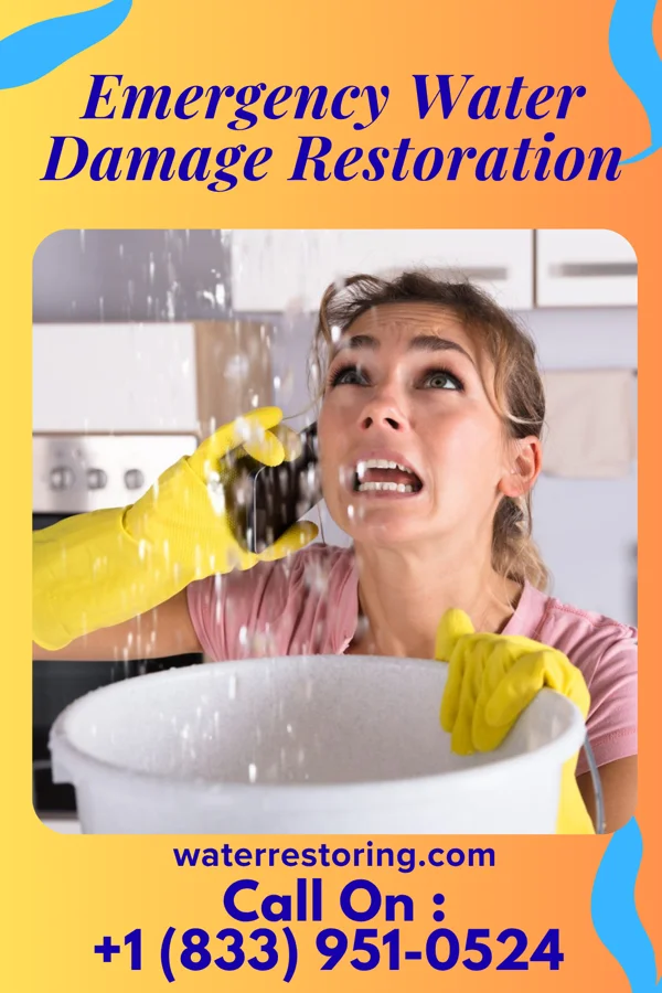Emergency Water Damage Restoration in Apopka, FL